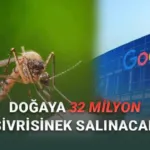 Google’dan Çığır Açan Biyolojik Mücadele: Yapay Zeka Destekli ‘Steril’ Sivrisineklerle Salgın Hastalıkların Kökü Kurutuluyor