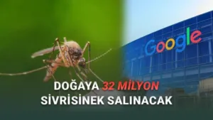 Google’dan Çığır Açan Biyolojik Mücadele: Yapay Zeka Destekli ‘Steril’ Sivrisineklerle Salgın Hastalıkların Kökü Kurutuluyor