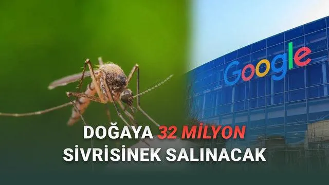 Google’dan Çığır Açan Biyolojik Mücadele: Yapay Zeka Destekli ‘Steril’ Sivrisineklerle Salgın Hastalıkların Kökü Kurutuluyor